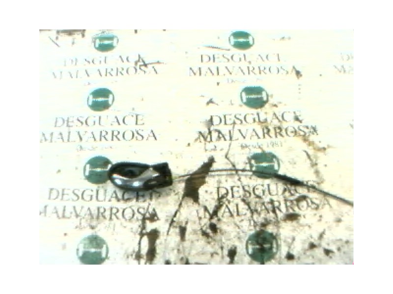 Recambio de maneta interior delantera derecha para ford focus berlina (cak) ghia referencia OEM IAM   