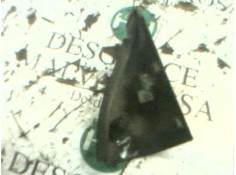 Recambio de modulo electronico para ford focus berlina (cak) ghia referencia OEM IAM    2