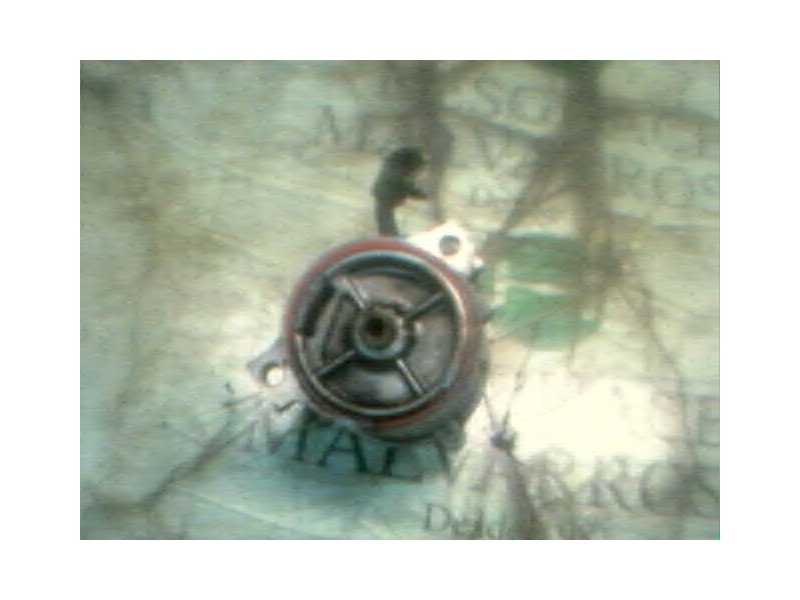 Recambio de depresor freno / bomba vacio para renault rapid/express (f40) 1.6 diesel referencia OEM IAM   