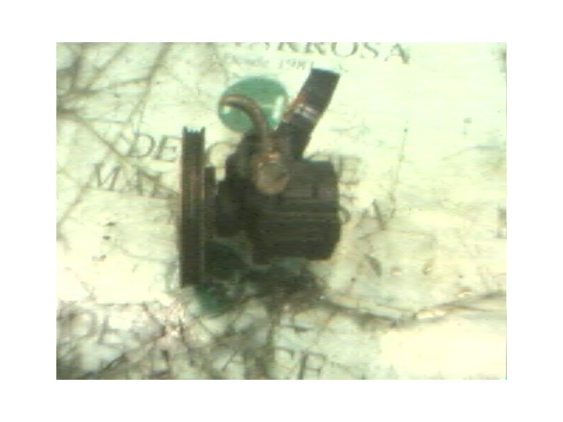 Recambio de bomba direccion para fiat palio weekend (178) 1.2 cat referencia OEM IAM 46413332 26071300FS 26071300FS