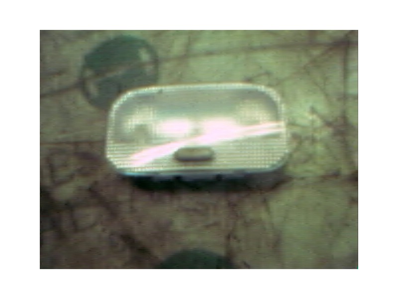 Recambio de piloto interior para peugeot 307 (s1) xr referencia OEM IAM   