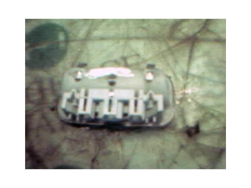 Recambio de piloto interior para peugeot 307 (s1) xr referencia OEM IAM   