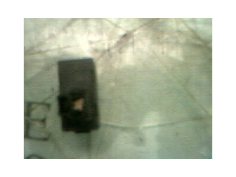 Recambio de mando elevalunas trasero izquierdo para peugeot 307 (s1) xr referencia OEM IAM   