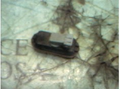 Recambio de piloto lateral izquierdo para seat ibiza (6k) glx referencia OEM IAM    2