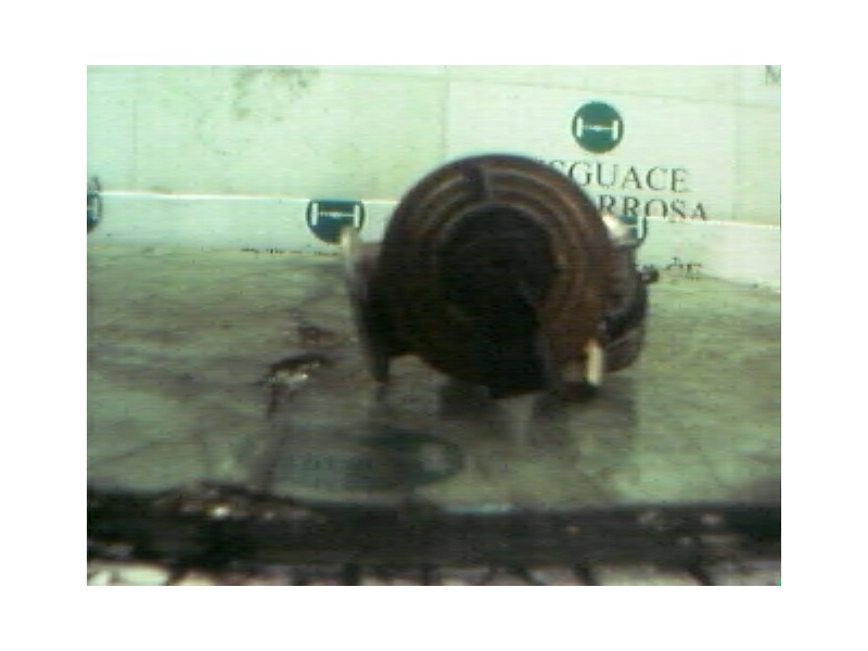 Recambio de valvula egr para ford fiesta berlina referencia OEM IAM   