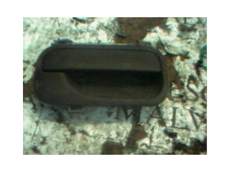 Recambio de maneta exterior delantera derecha para opel vectra b berlina cd referencia OEM IAM   