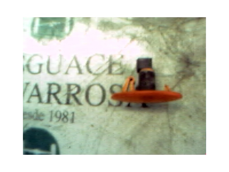 Recambio de piloto lateral derecho para fiat punto berl. (176) 1.7 turbodiesel referencia OEM IAM   