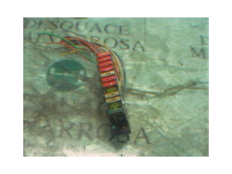 Recambio de modulo electronico para peugeot 206 berlina xs referencia OEM IAM   