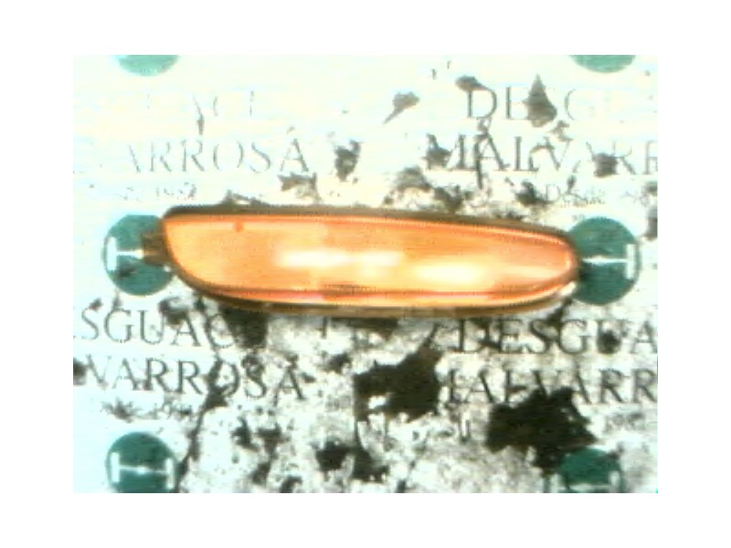 Recambio de piloto delantero derecho para chrysler 300 m (lr) 2.7 v6 referencia OEM IAM 4805140  