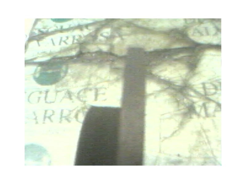 Recambio de disco freno delantero para renault 19 (b/c/l53) referencia OEM IAM   