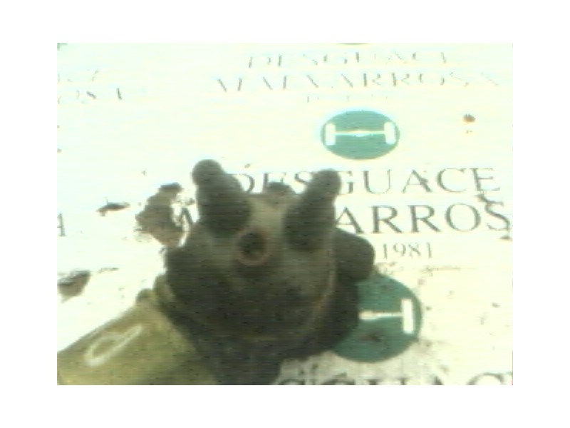 Recambio de delco para renault 5 (b/c40) 1.4 referencia OEM IAM   