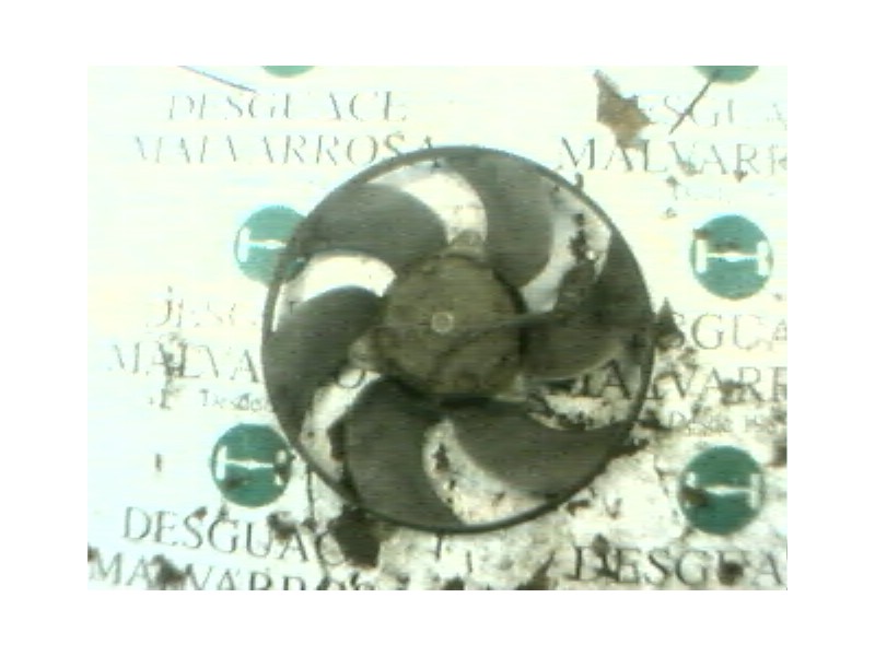 Recambio de electroventilador para ford orion 1.6 cat referencia OEM IAM   