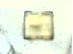 Recambio de modulo electronico para opel corsa b sport referencia OEM IAM    2