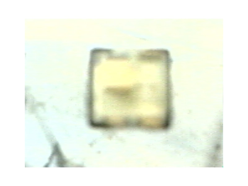 Recambio de modulo electronico para opel corsa b sport referencia OEM IAM   