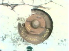 Recambio de mangueta trasera izquierda para nissan primera berl./familiar (p10/w10) 2.0 diesel referencia OEM IAM   