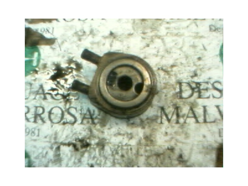 Recambio de enfriador aceite motor para citroën zx 1.9 diesel referencia OEM IAM   