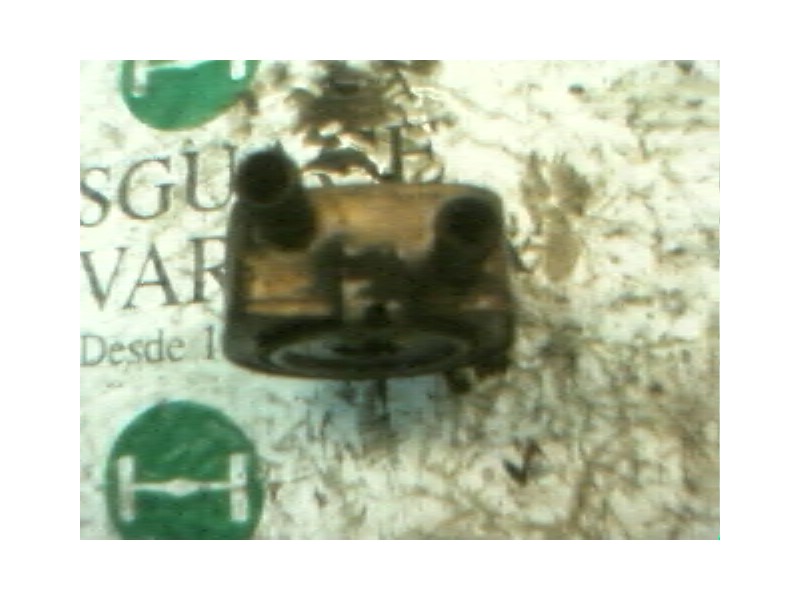 Recambio de enfriador aceite motor para citroën zx 1.9 diesel referencia OEM IAM   