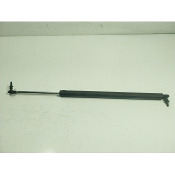 AMORTIGUADORES MALETERO / PORTON 