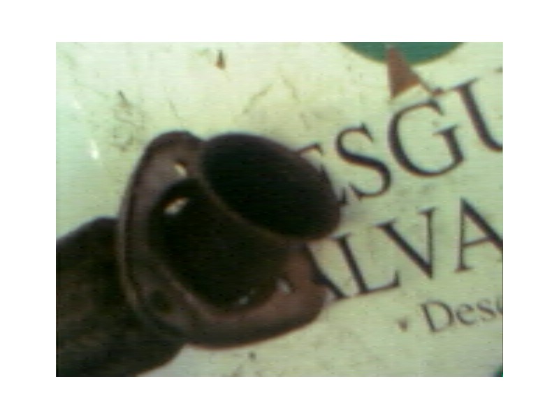 Recambio de salida colector para seat ibiza (6k) 1.6 referencia OEM IAM   