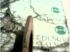 Recambio de disco freno trasero para volkswagen bora berlina (1j2) conceptline referencia OEM IAM    2