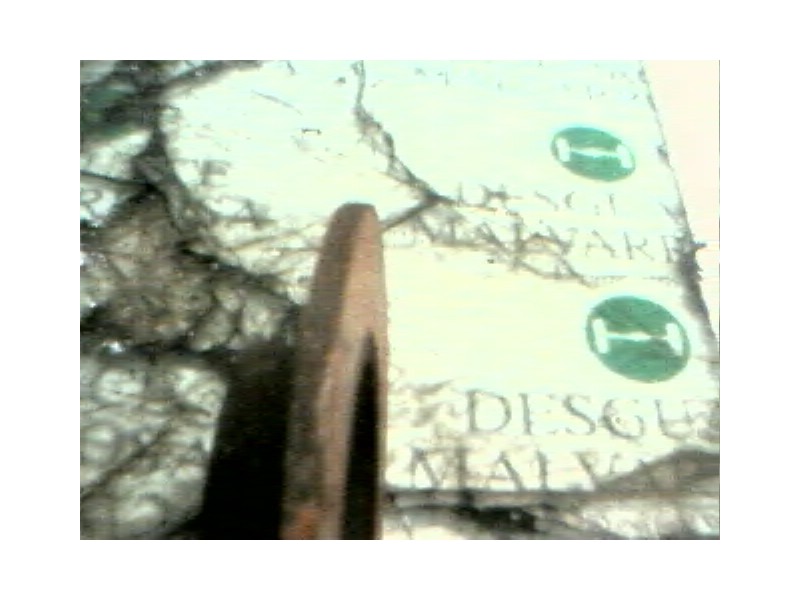 Recambio de disco freno trasero para volkswagen bora berlina (1j2) conceptline referencia OEM IAM   