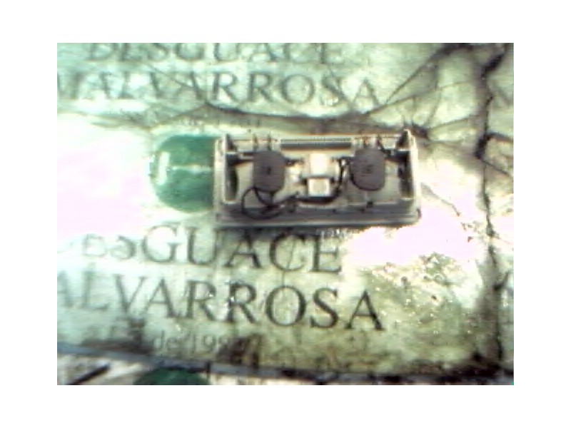 Recambio de piloto interior para seat toledo (1l) master referencia OEM IAM   