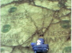 Recambio de motor c/c delantero derecho para seat toledo (1l) master referencia OEM IAM    2