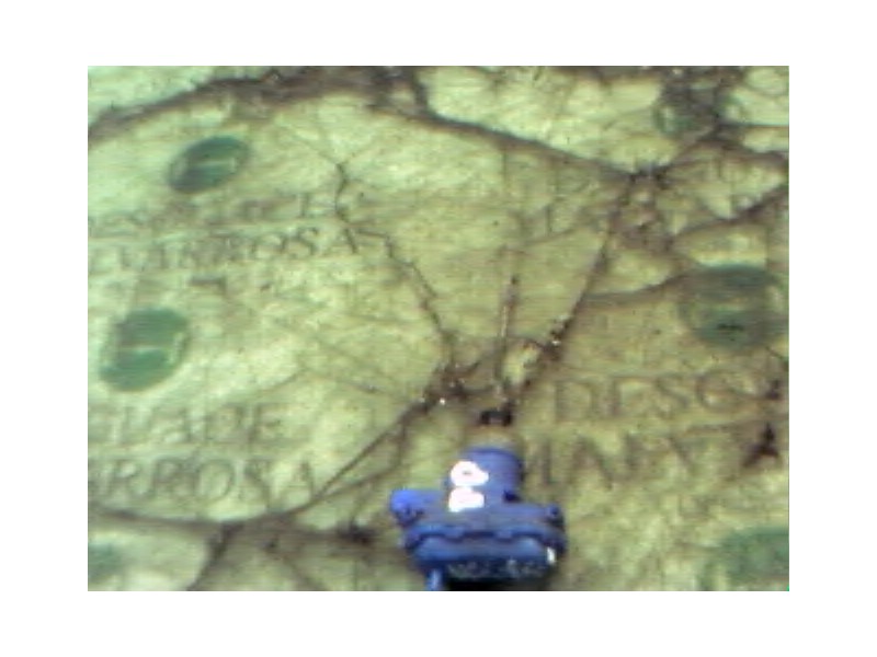 Recambio de motor c/c delantero derecho para seat toledo (1l) master referencia OEM IAM   