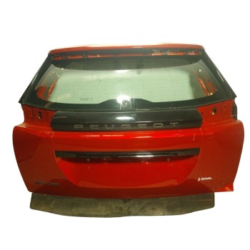 PORTON TRASERO 9831045880 