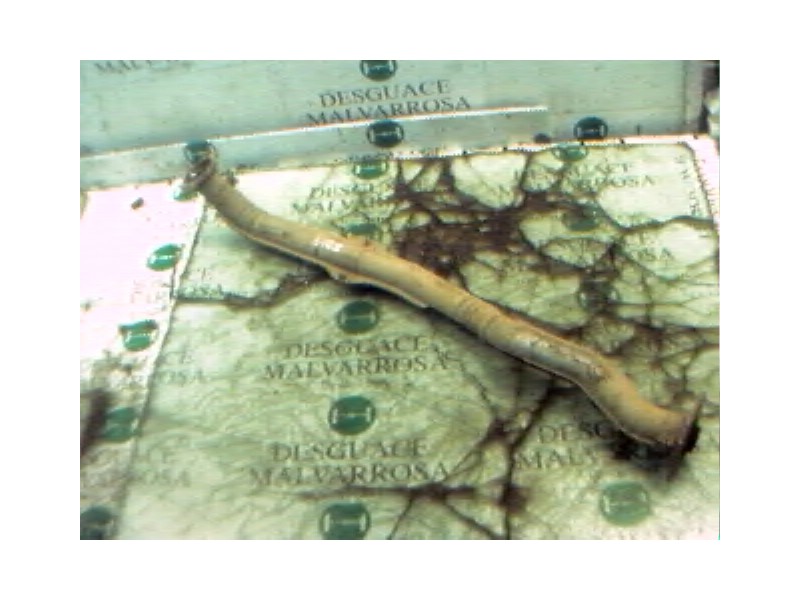 Recambio de salida colector para nissan micra (k11) l referencia OEM IAM   