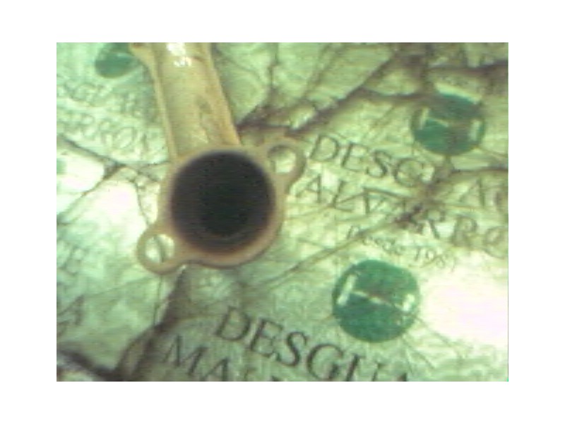 Recambio de salida colector para nissan micra (k11) l referencia OEM IAM   