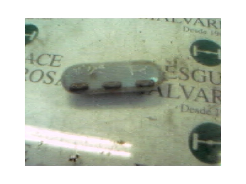 Recambio de piloto interior para renault scenic ii confort authentique referencia OEM IAM   