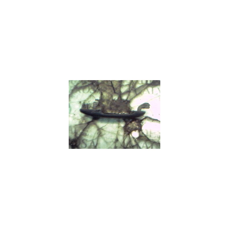 Recambio de maneta exterior delantera derecha para seat cordoba berlina (6k2) stella referencia OEM IAM   