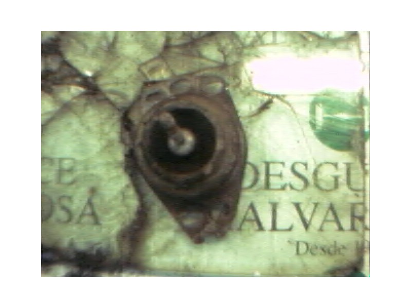 Recambio de soporte motor delantero para fiat brava (182) 1.4 12v sx referencia OEM IAM   