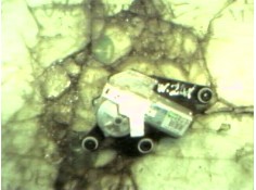 Recambio de motor limpia trasero para citroën c3 1.4 collection referencia OEM IAM    2