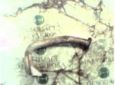 Recambio de salida colector para citroën ax 1.4 diesel (k9a) referencia OEM IAM   