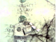 Recambio de articulacion limpia trasero para citroën ax 1.4 diesel (k9a) referencia OEM IAM   