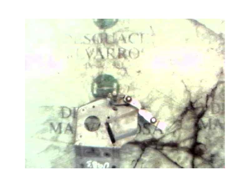 Recambio de articulacion limpia trasero para citroën ax 1.4 diesel (k9a) referencia OEM IAM   