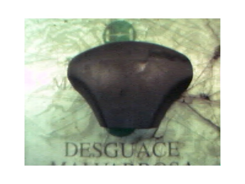 Recambio de airbag delantero izquierdo para ford fiesta berl./courier 1.3 cat referencia OEM IAM   