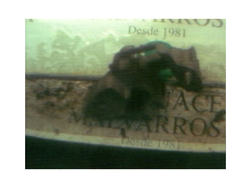 Recambio de soporte motor trasero para renault scenic (ja..) 1.9 dti rt referencia OEM IAM   