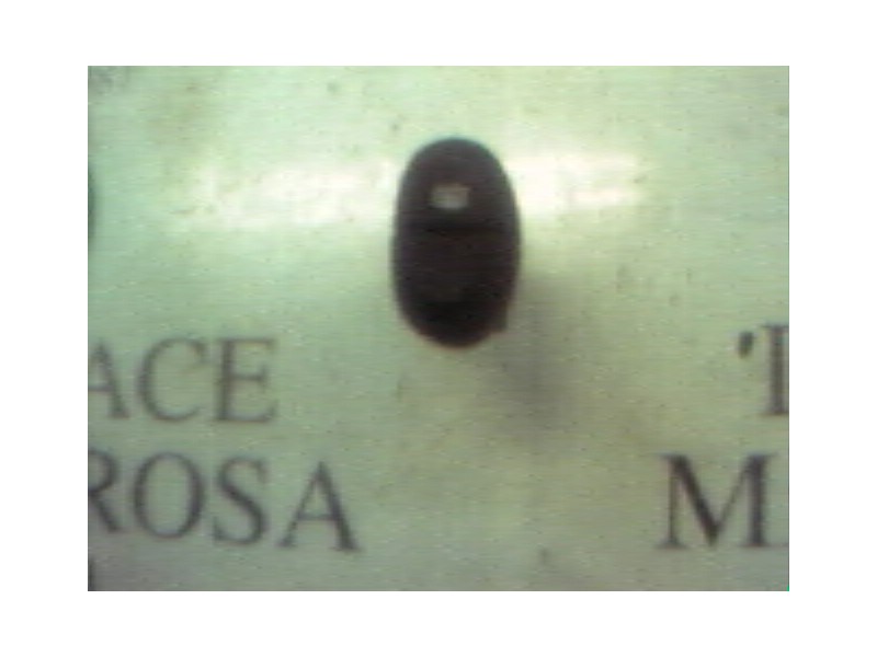 Recambio de modulo electronico para renault scenic (ja..) 1.9 dti rt referencia OEM IAM   