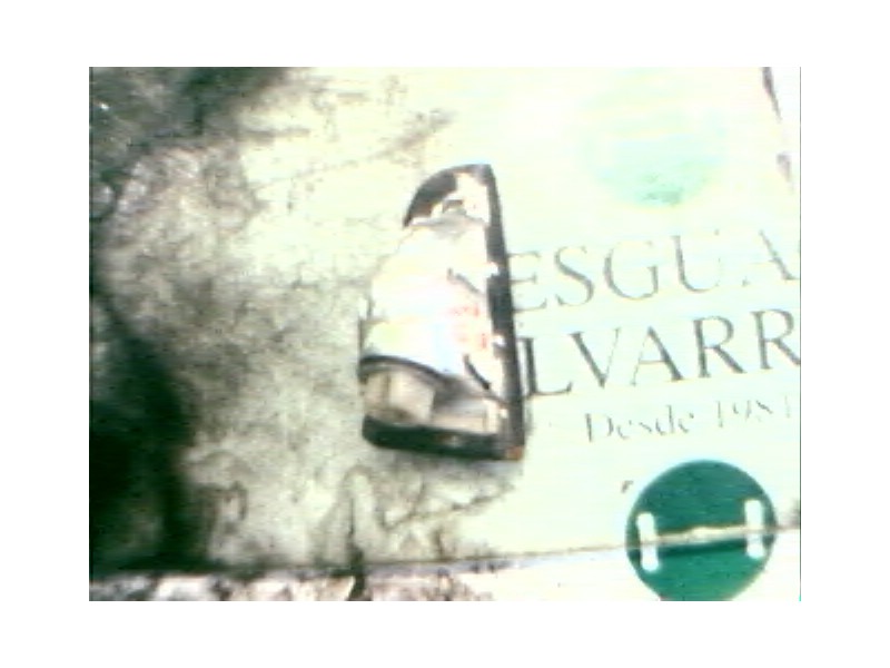 Recambio de piloto delantero izquierdo para fiat cinquecento (170) referencia OEM IAM   