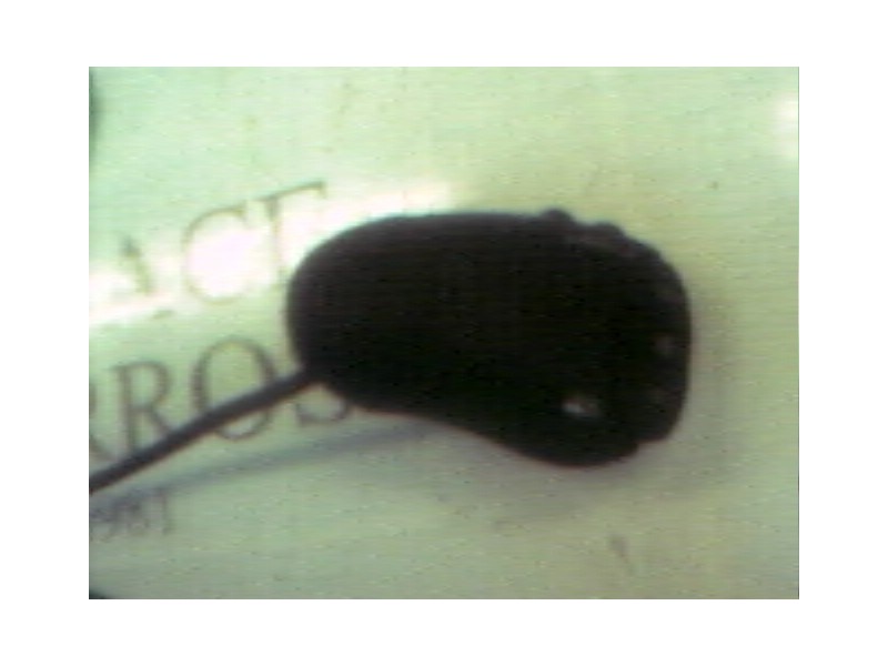 Recambio de modulo electronico para renault clio ii fase i (b/cbo) 1.2 alize referencia OEM IAM   