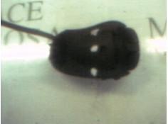 Recambio de modulo electronico para renault clio ii fase i (b/cbo) 1.2 alize referencia OEM IAM    2