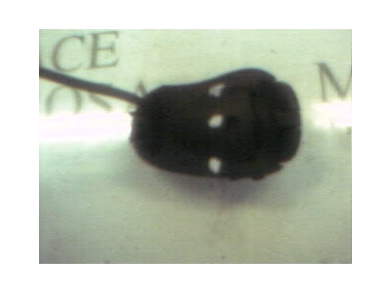 Recambio de modulo electronico para renault clio ii fase i (b/cbo) 1.2 alize referencia OEM IAM   