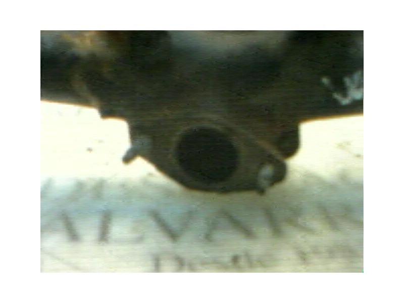 Recambio de colector escape para peugeot 206 berlina 2.0 hdi cat referencia OEM IAM   