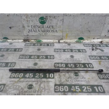 AMORTIGUADORES MALETERO / PORTON 