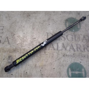 AMORTIGUADORES MALETERO / PORTON 51248254281 