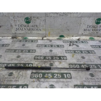 AMORTIGUADORES MALETERO / PORTON 