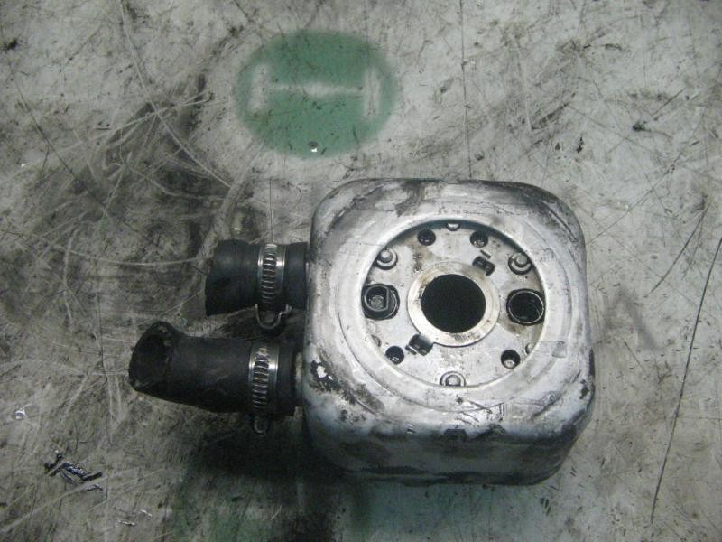 Recambio de enfriador aceite motor para seat ibiza (6k) gt referencia OEM IAM   
